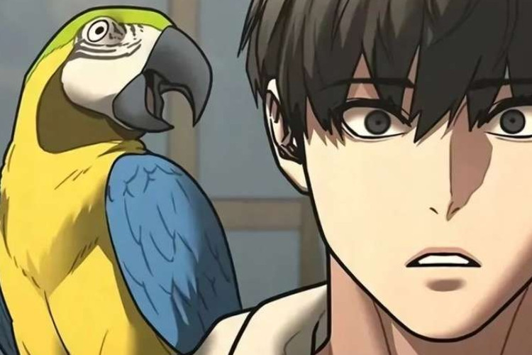 มังงะ Reality Quest ตอนที่ 195 ซับไทยมินยูล ปะทะ โดฮวาน ในท้องฟ้ายามพระอาทิตย์ตกดินที่ลุกโชน