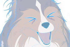 มังงะ A Fortune-Telling Princess ตอนที่ 146 ซับไทยสุนัขถูกทิ้งที่มีเรื่องราวเบื้องหลังที่น่าเศร้าเหลือเกิน